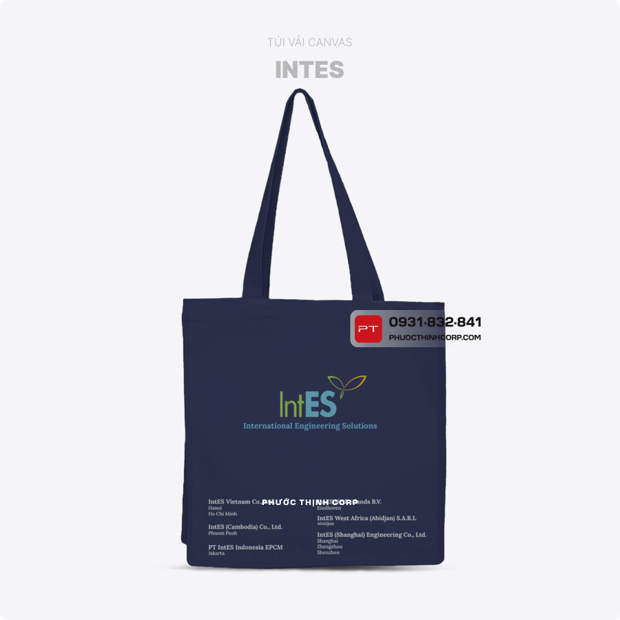 Túi vải canvas IntES